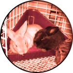 CH. 06 «Letting Go»