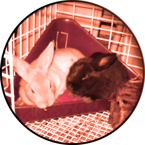 circularcrop-itlom008-chapter-lettinggo copy