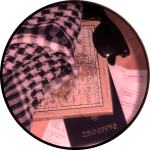 CH.13 «Visiting Earth»