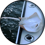  CH. 16 «Interplanetary Cuisine»