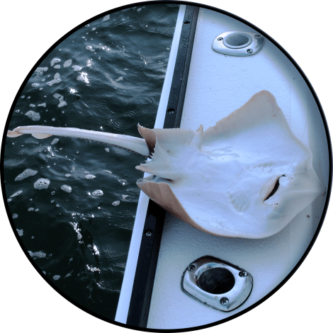 circularcrop-itlom027-chapter-interplanetarycuisine copy