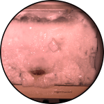 CH. 22 «Everything I’ll Miss»