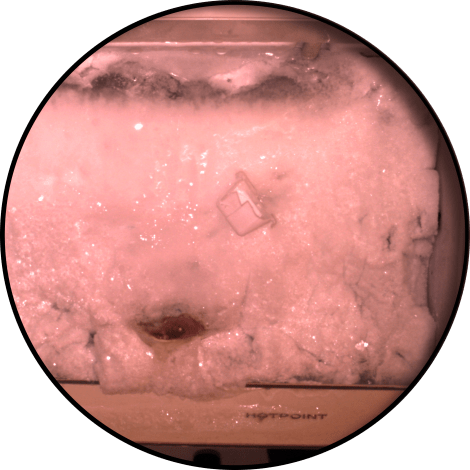 circularcrop-itlom034-chapter-everythingillmiss copy