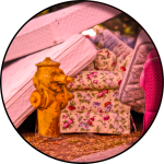 CH. 29 «Eviction Party»