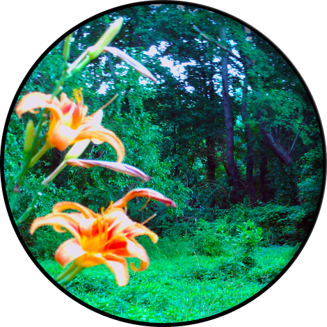 circularcrop-itlom047-chapter-observationsontheearth copy