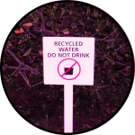 CH. 33 «Idiot-Proof»