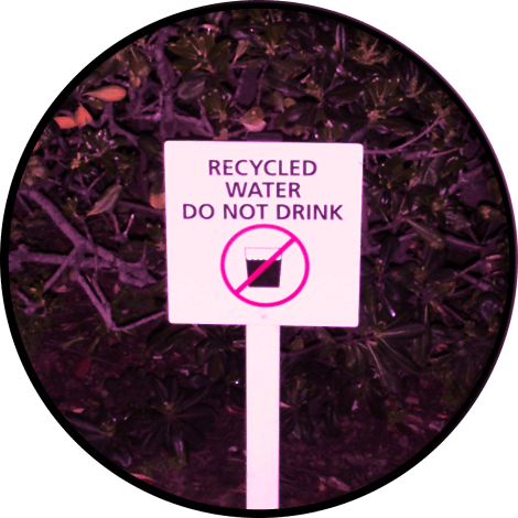 circularcrop-itlom052-chapter-idiotproof copy