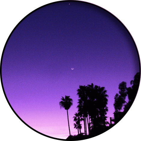 circularcrop-itlom053-chapter-statusupdate copy