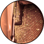 CH. 35 «Birthday Break-In»