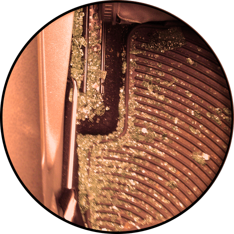 circularcrop-itlom055-chapter-birthdaybreakin copy