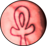  CH. 05 A Martian Rite of Passage – My First Tattoo