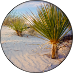  CH. 41 «The Road Trip – Day 2»