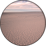 CH. 42 «The Road Trip – Day 4»