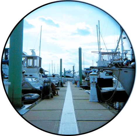 CIRCULARCROP-itlom078-chapter-backhome copy