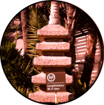  CH. 49 «Tumultuous Apathy»