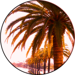 CH. 64 «Really Going to Miss this Place»