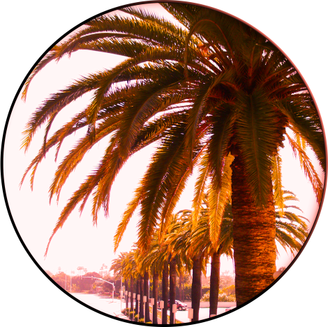 CIRCULARCROP-itlom115-chapter-reallygoingtomissthisplace copy