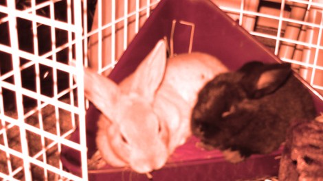 horizontalcrop-itlom008-chapter-lettinggo copy