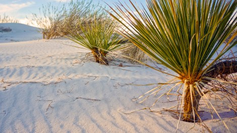 horizontalcrop-itlom064-chapter-roadtripday2 copy