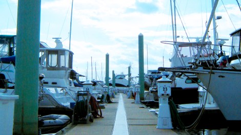 horizontalcrop-itlom078-chapter-backhome copy