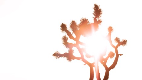 horizontalcrop-itlom116-chapter-loveitorhateit copy